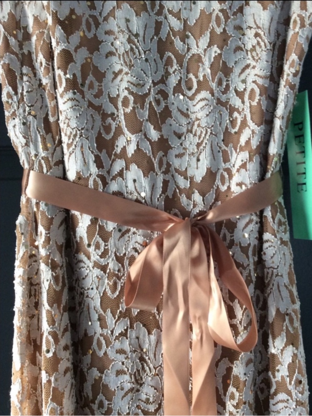 NWT Candalite Lace Evening Gown